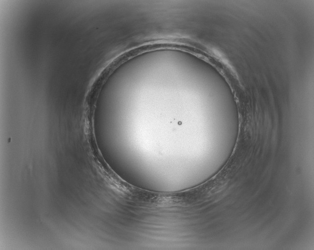 X0000074971360200609221812