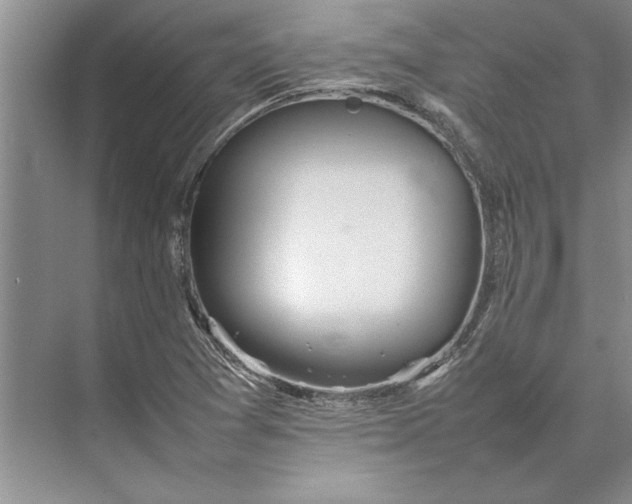 X0000074971361200609221812