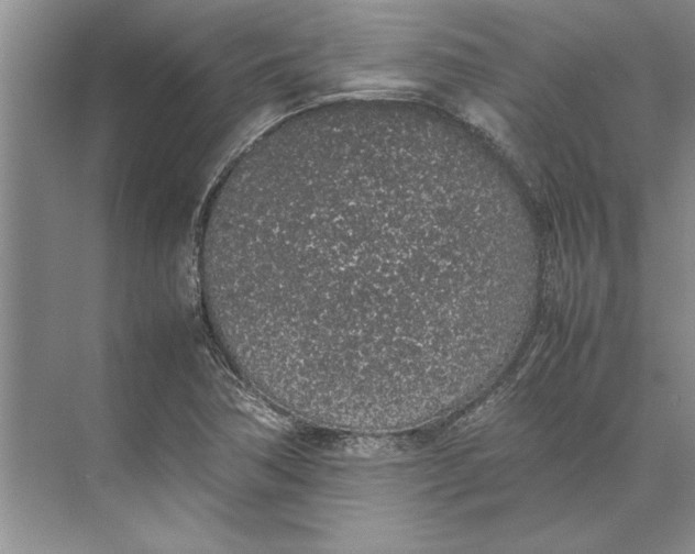 X0000074971362200609221812