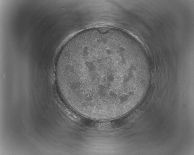 X0000074971363200609221812