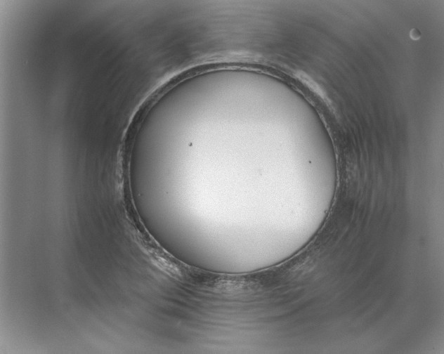 X0000074971364200609221812