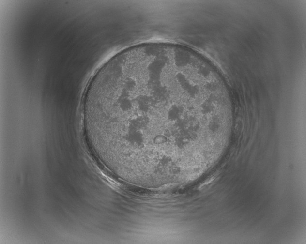 X0000074971367200609221812