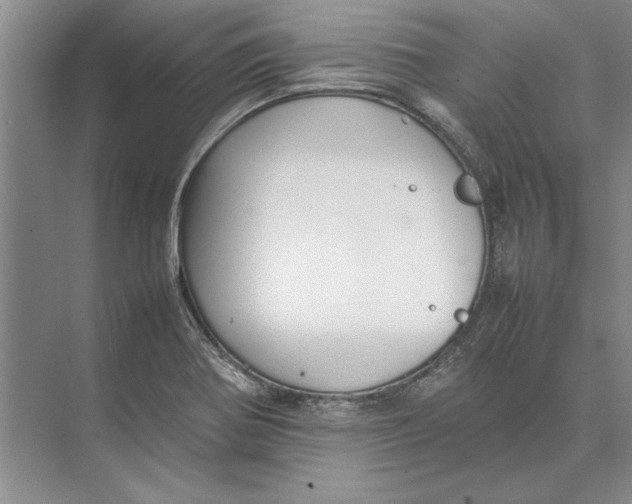 X0000074971370200609221812