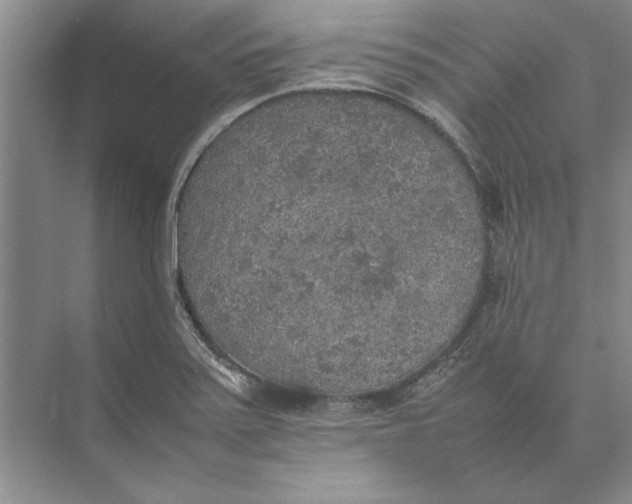 X0000074971371200609221812