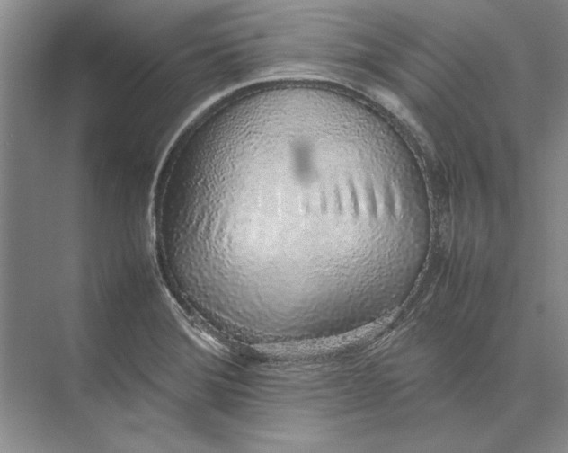 X0000074971372200609221812