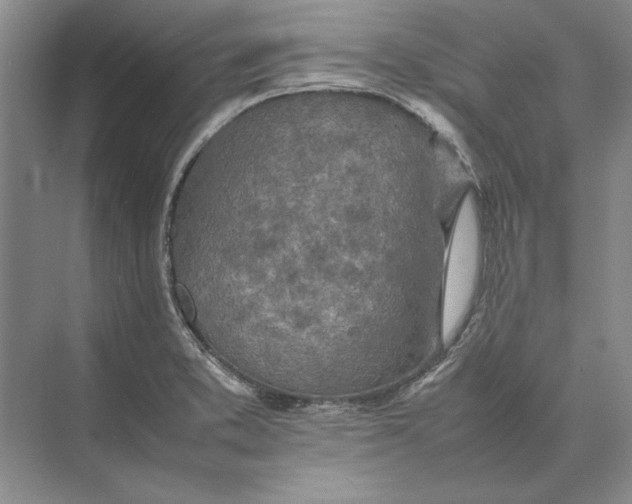 X0000074971373200609221812