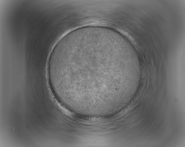 X0000074971375200609221812