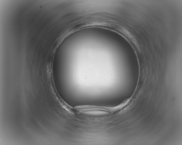 X0000074971377200609221812