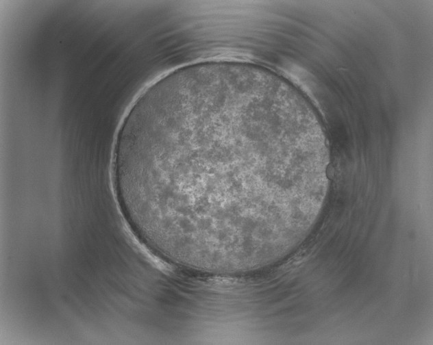 X0000074971379200609221812