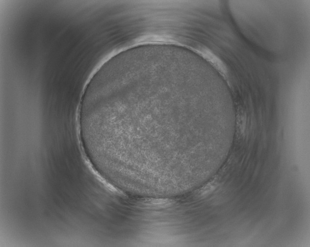 X0000074971382200609221812