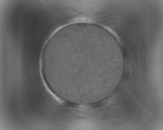 X0000074971383200609221812