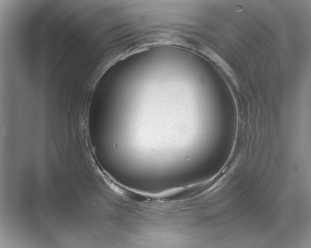 X0000074971385200609221812