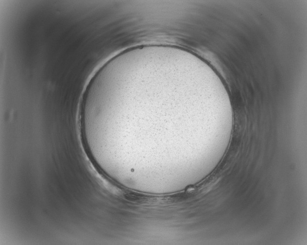 X0000074971387200609221811