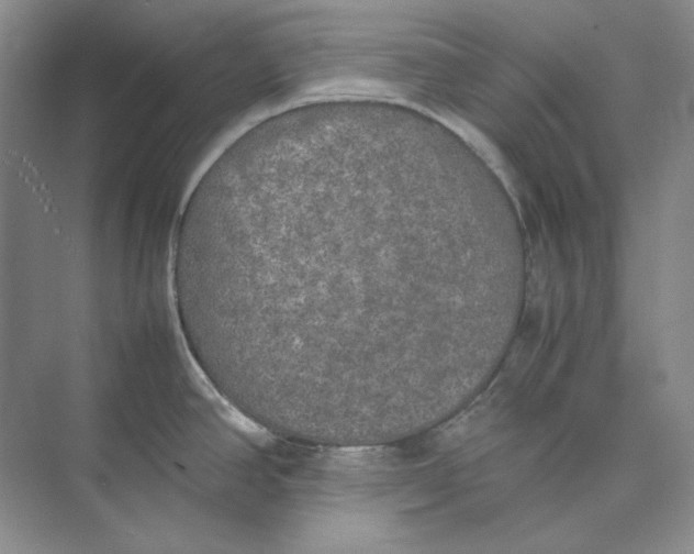 X0000074971390200609221811