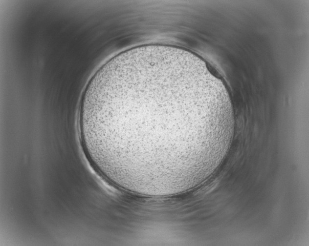 X0000074971391200609221811