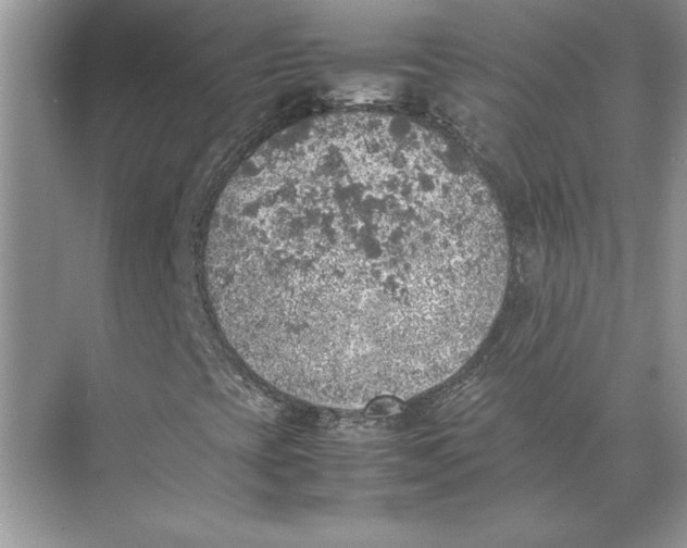 X0000074971393200609221811