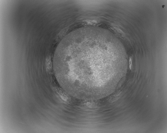 X0000074971395200609221811