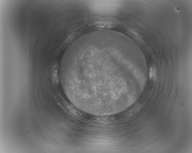 X0000074971396200609221811