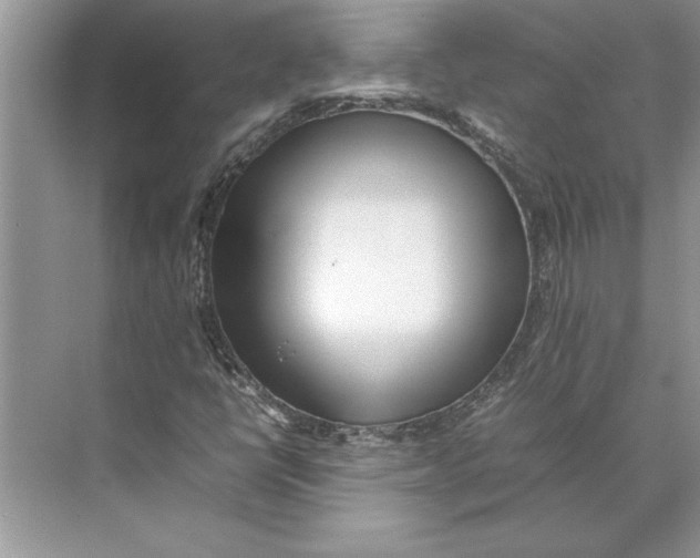 X0000074971398200609221811