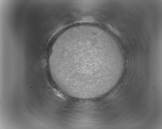 X0000074971400200609221811