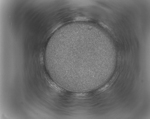 X0000074971401200609221811