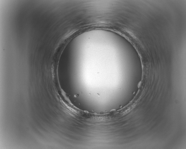 X0000074971402200609221811