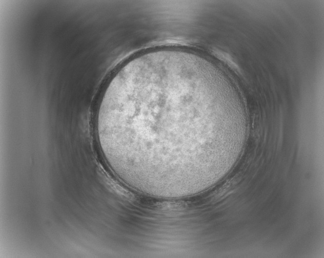 X0000074971404200609221811