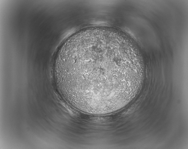 X0000074971405200609221811