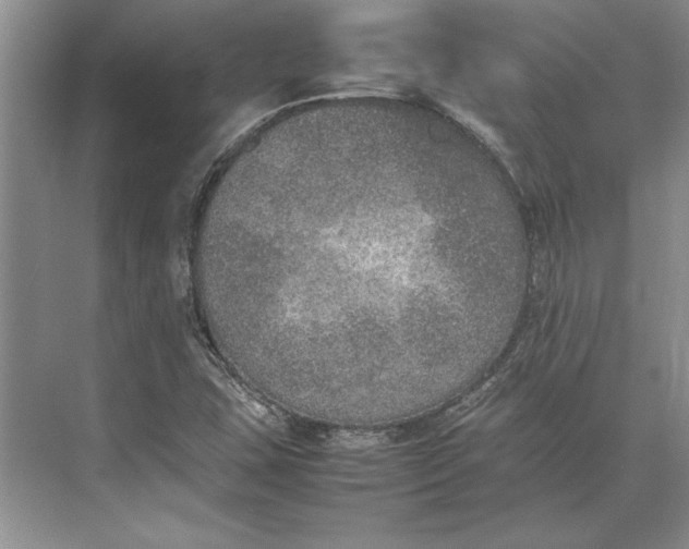 X0000074971407200609221811