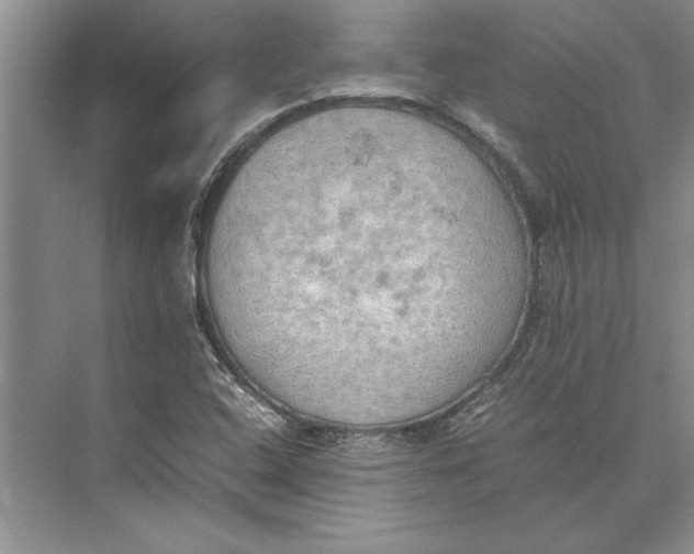 X0000074971408200609221811