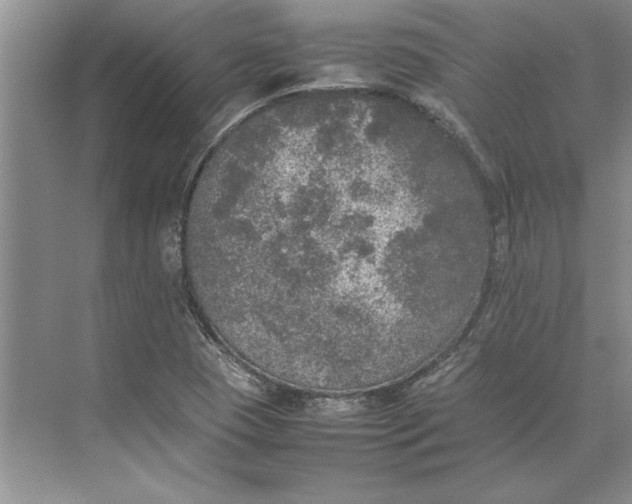 X0000074971409200609221811