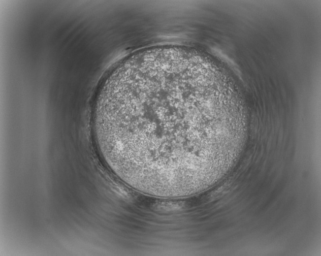 X0000074971411200609221811