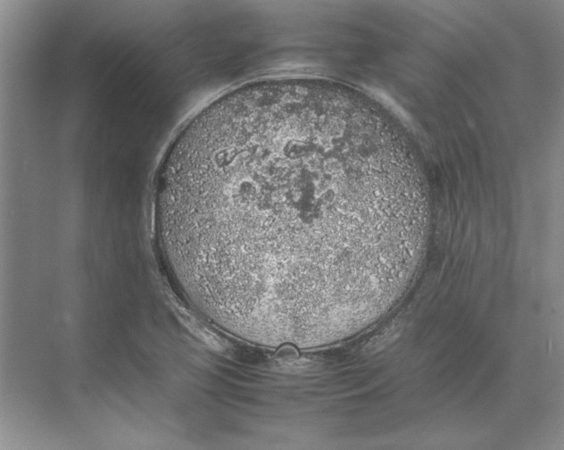 X0000074971413200609221811