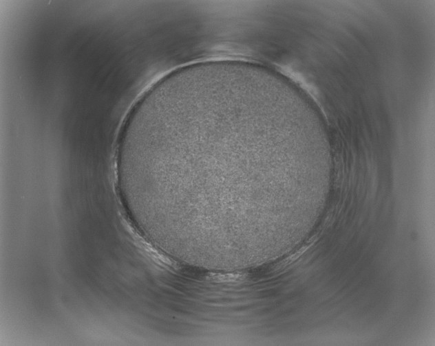 X0000074971415200609221811