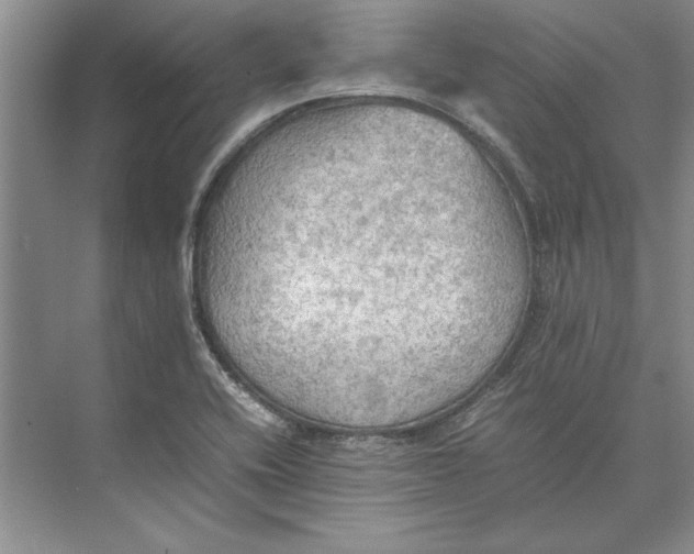 X0000074971416200609221811