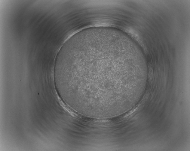 X0000074971417200609221811