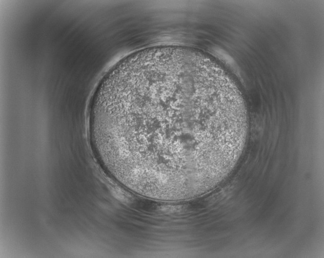 X0000074971419200609221811