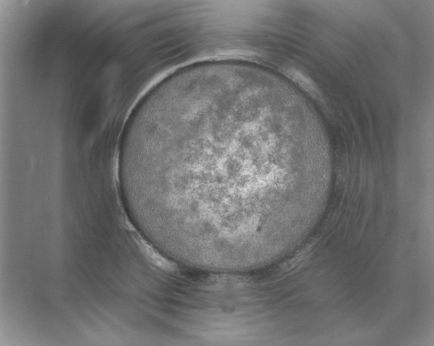 X0000074971420200609221811