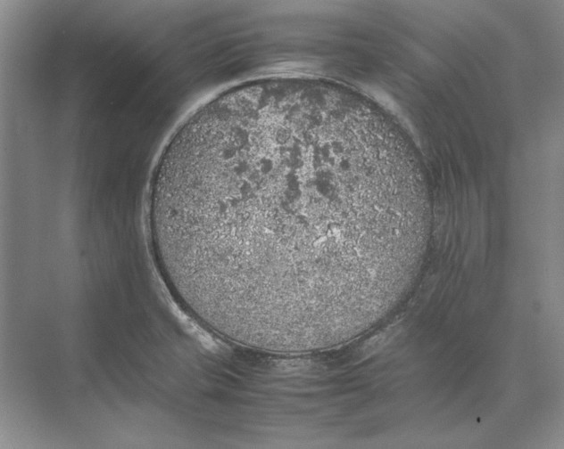 X0000074971421200609221811