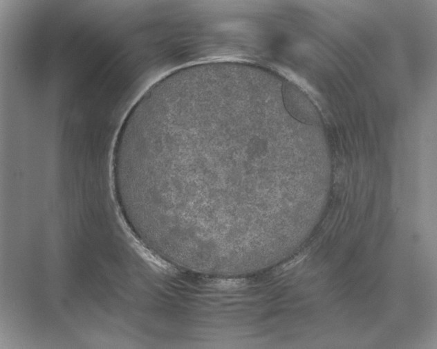 X0000074971423200609221811