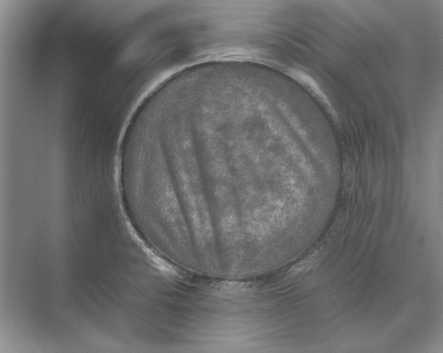 X0000074971424200609221811