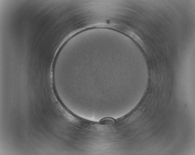 X0000074971428200609221811