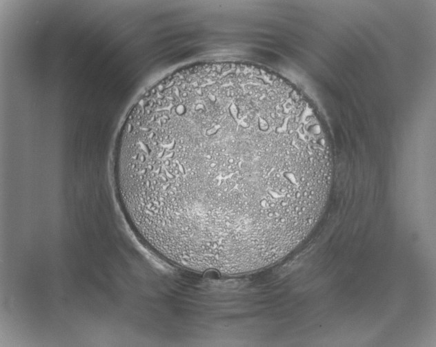 X0000074971429200609221811