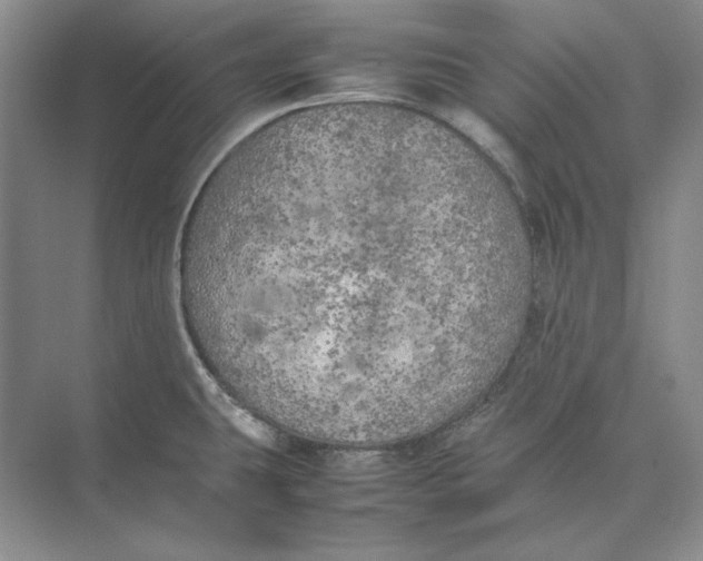 X0000074971431200609221811