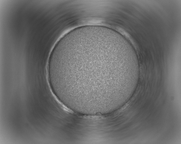 X0000074971432200609221811