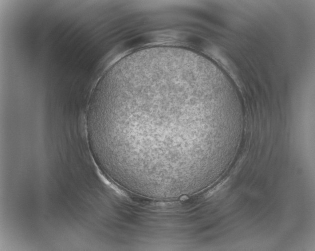 X0000074971433200609221811