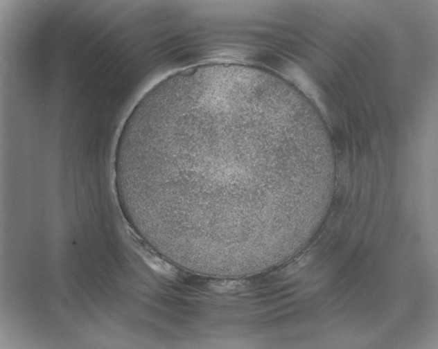 X0000074971435200609221811