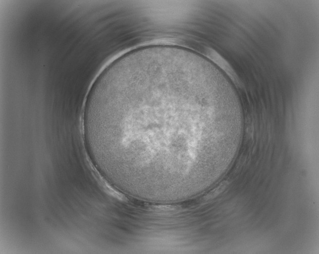 X0000074971436200609221811