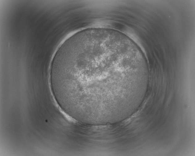 X0000074971437200609221811