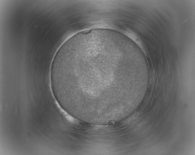 X0000074971439200609221811